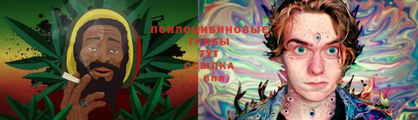 МДПВ Гусь-Хрустальный