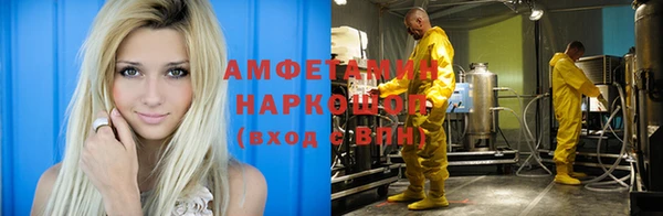 ПСИЛОЦИБИНОВЫЕ ГРИБЫ Гусев