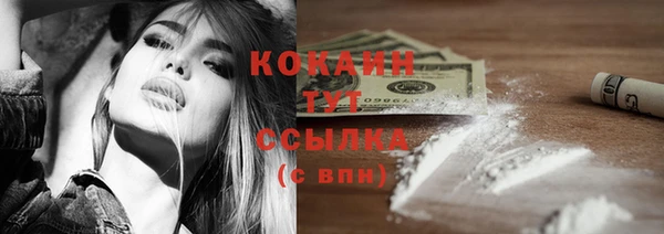 ПСИЛОЦИБИНОВЫЕ ГРИБЫ Гусев