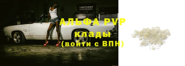 ПСИЛОЦИБИНОВЫЕ ГРИБЫ Гусев
