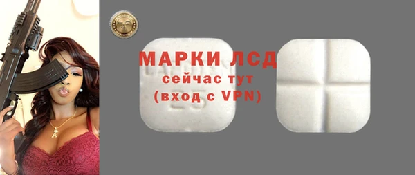 ПСИЛОЦИБИНОВЫЕ ГРИБЫ Гусев