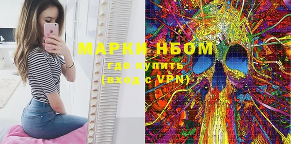 ПСИЛОЦИБИНОВЫЕ ГРИБЫ Гусев