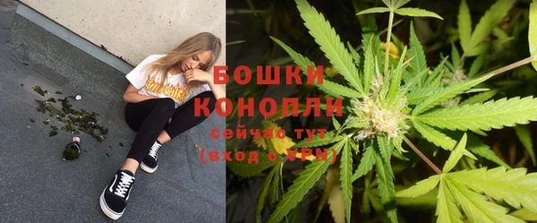 ПСИЛОЦИБИНОВЫЕ ГРИБЫ Гусев