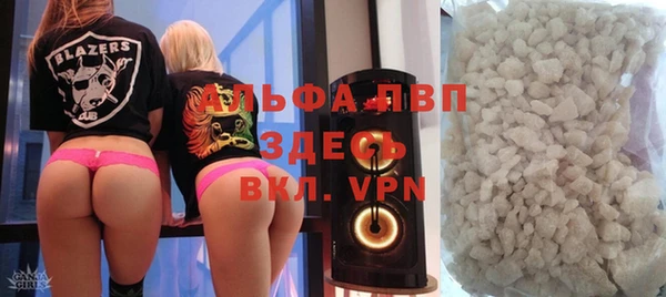 ПСИЛОЦИБИНОВЫЕ ГРИБЫ Гусев