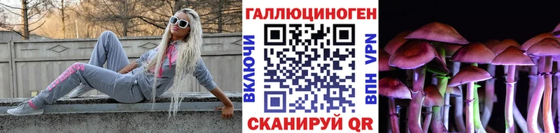 Псилоцибиновые грибы GOLDEN TEACHER продажа наркотиков Гусь-Хрустальный
