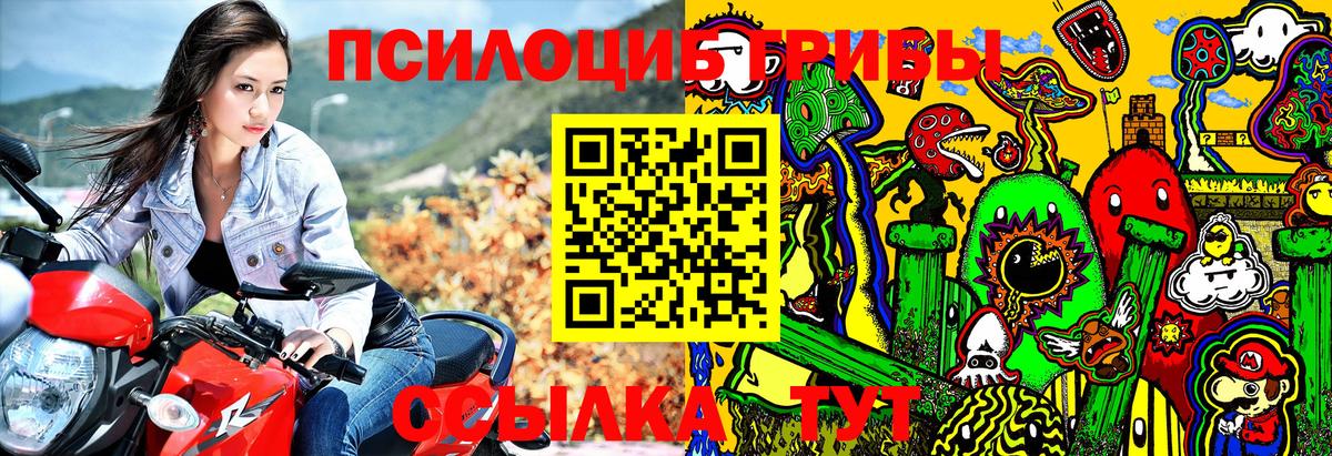 Псилоцибиновые грибы Cubensis  Вход с VPN  где купить   Гусь-Хрустальный 